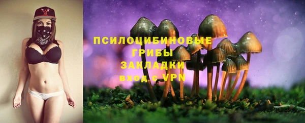 трава Чегем
