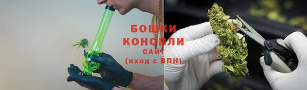 трава Чегем