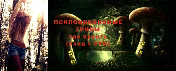 прущие грибы Хадыженск