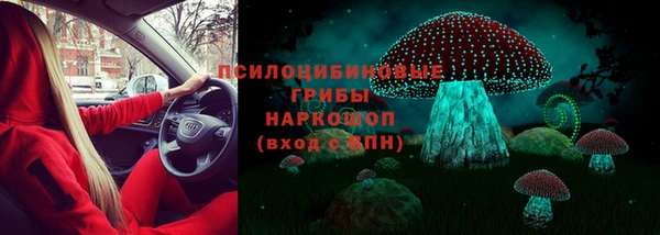 дмт Чекалин